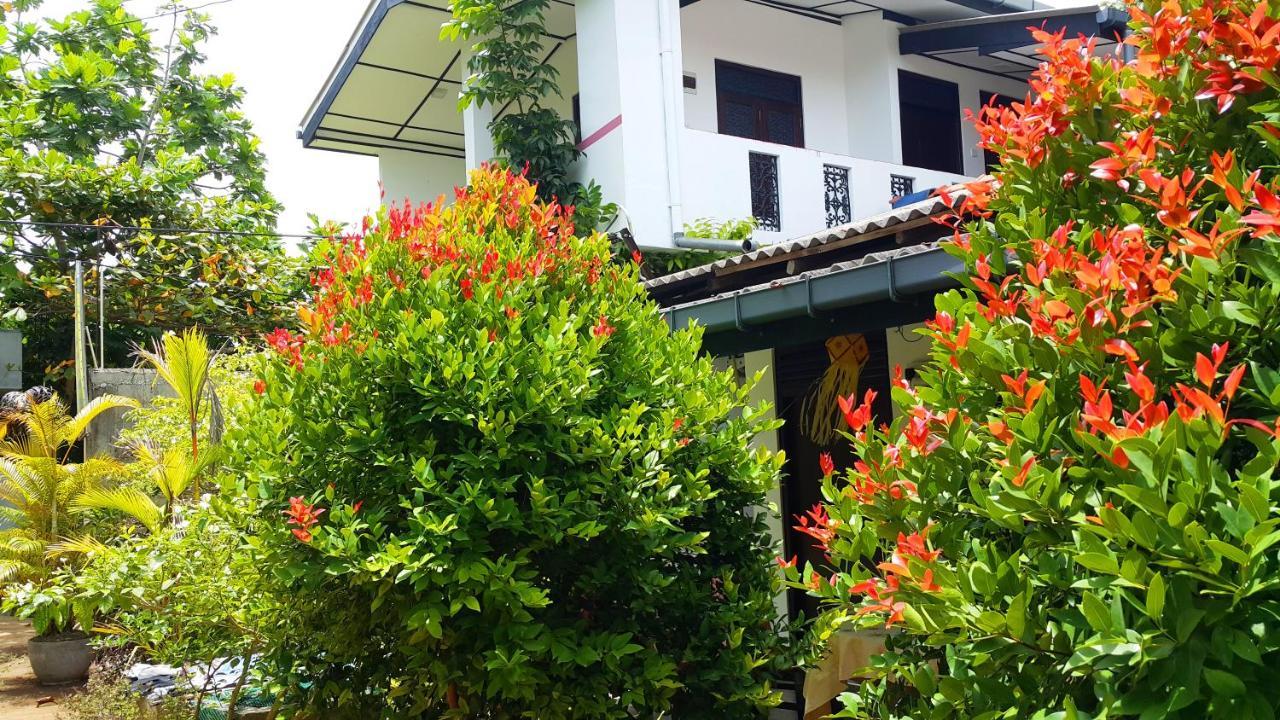 Green Garden Guest Mirissa Exterior photo
